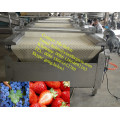 Automatische Blaubeersortiermaschine / Strawberry Sorting Weighting Packing Line